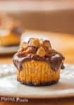 Reese's Peanut Butter Cup Mini Cheesecake Cupcakes - www.platingpixels.com