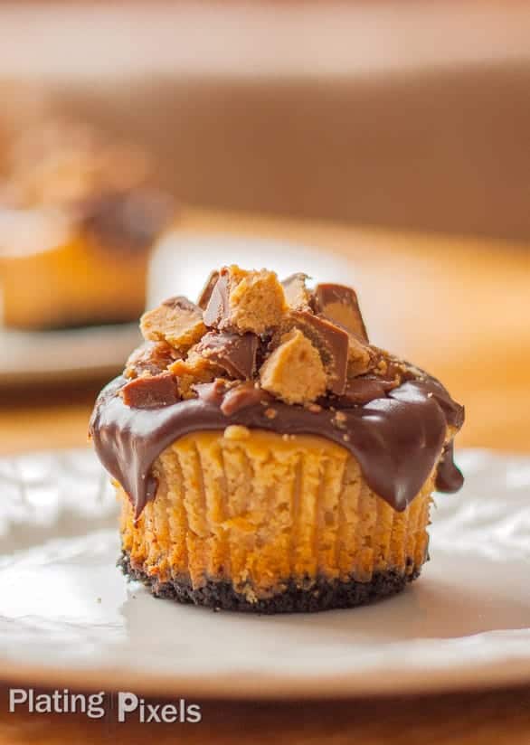 15 Amazing Peanut Butter Dessert and Entree Recipes by www.platingpixels.com