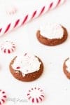 Spiced Hot Chocolate Peppermint Cookies - www.platingpixels.com