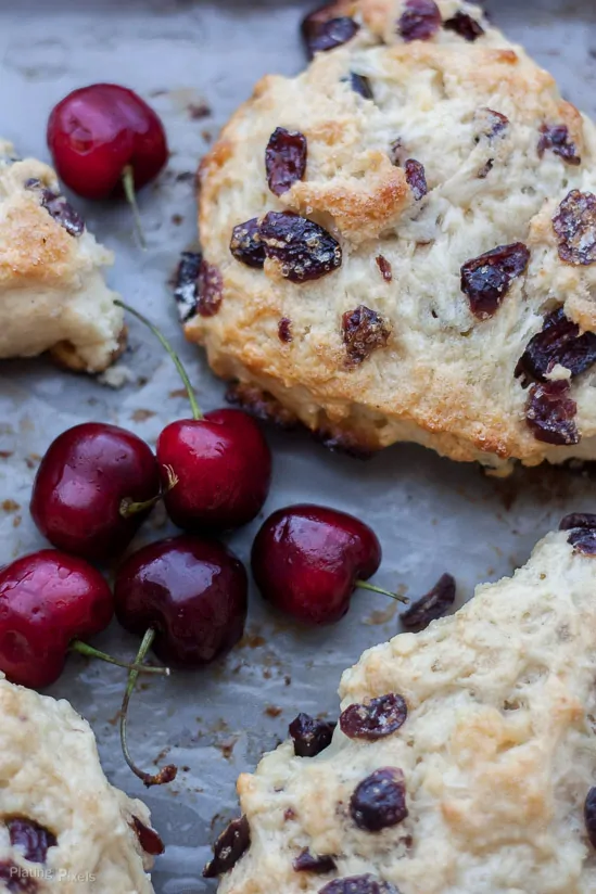 Close up of white chocolate cranberry scones on a baking sheet with fresh cherries next to it