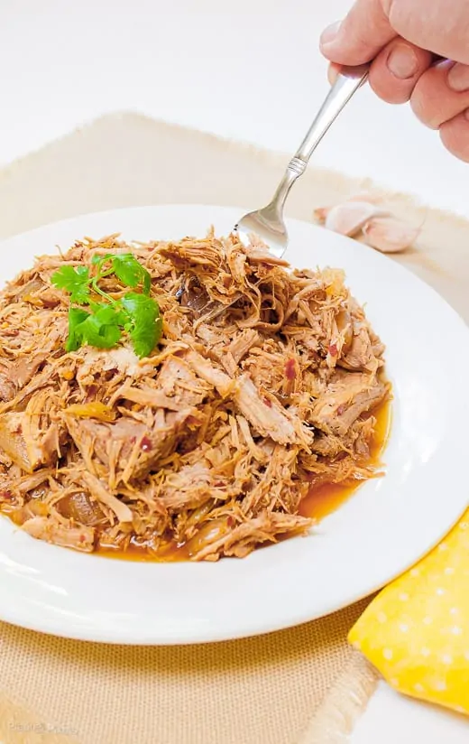 Carolina Style Slow Cooker Pulled Pork on a plate with a hand using fork to pick some up