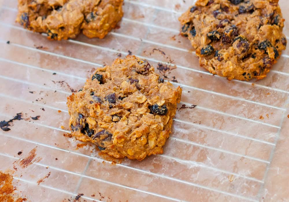 Healthy Vegan Peanut Butter Breakfast Cookies