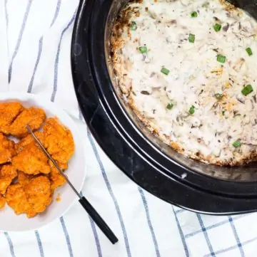 Slow Cooker Blue Cheese Dipping Sauce recipe - www.platingpixels.com