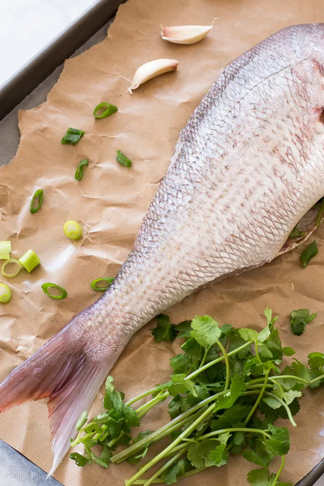 Soy Sauce Glazed Whole Steamed Fish recipe - www.platingpixels.com