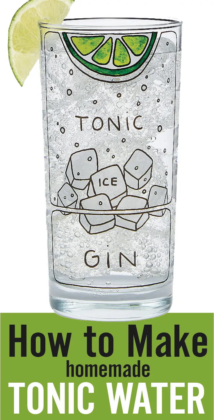 How to Make Tonic Water - cocktail glass image with text overlay
