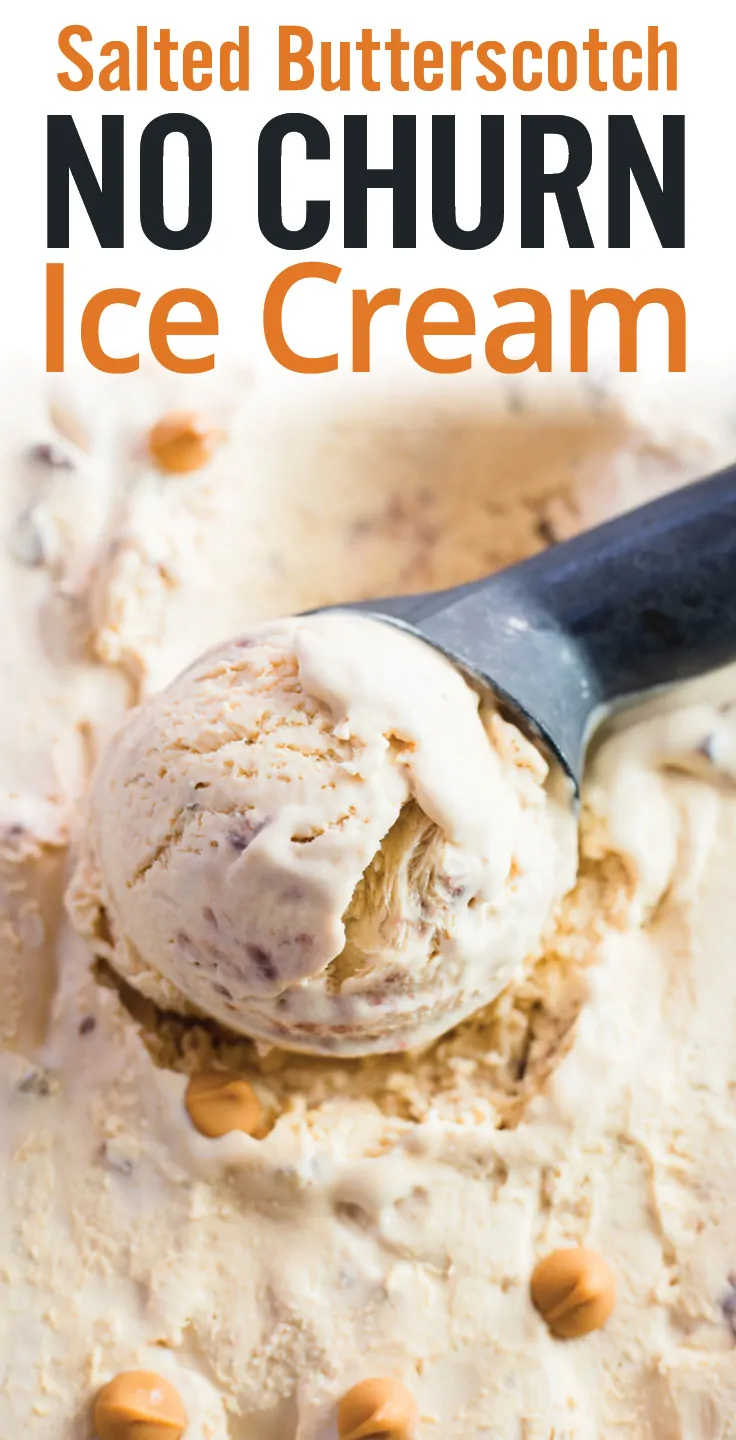 No Churn Salted Butterscotch Ice Cream