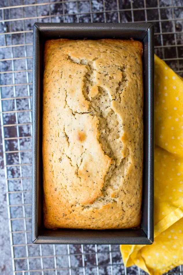 Chamomile Lemon Poppy Seed Breakfast Bread recipe - www.platinpixels.com