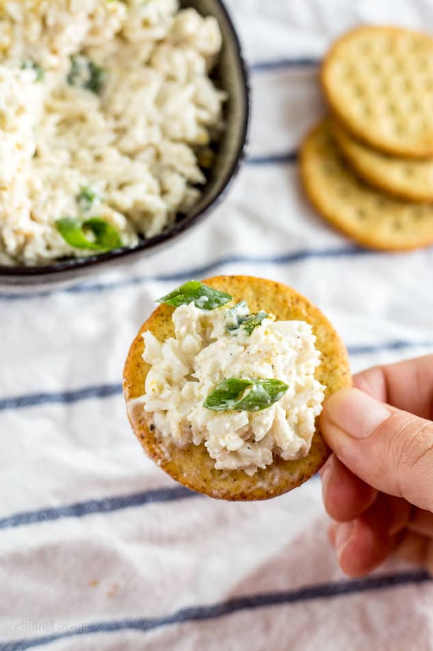 Creamy Rice and Crab Dip Appetizer recipe - platingpixels.com