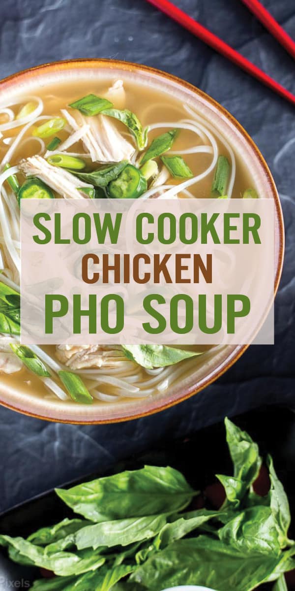 Easy Slow Cooker Chicken Pho Soup Recipe
