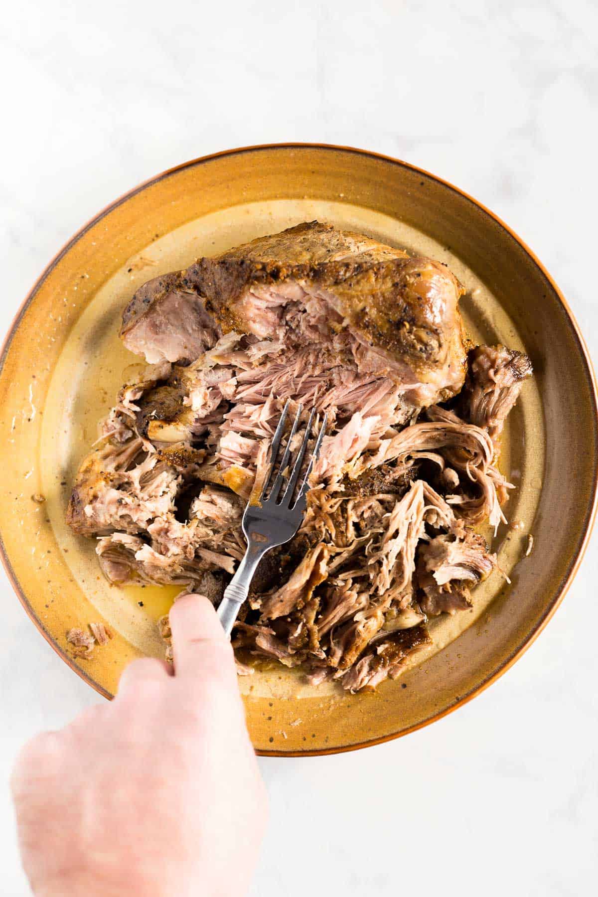 Shredding slow cooked pork to make carnitas